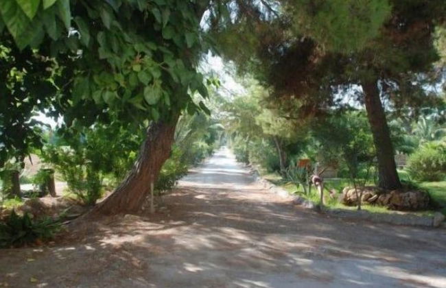 Agriturismo Terrauzza sul Mare - Foto 39