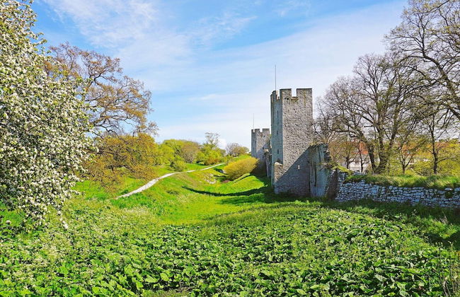 6 Person Holiday Home in Gotlands Tofta - Foto 3