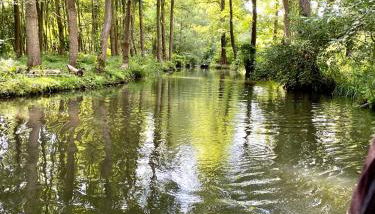 Ferienapartments Spreewaldwiesen - Foto 4