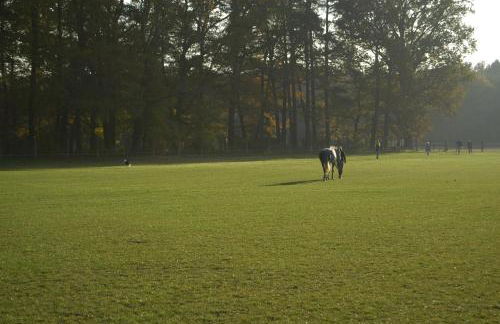 Gästehaus am Landgut - Foto 48