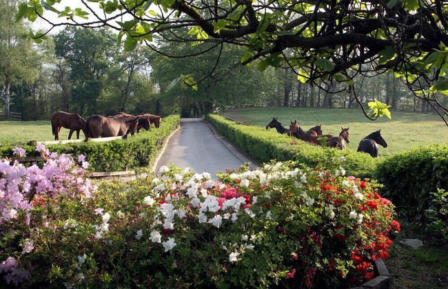 La Cucchetta - Foto 30