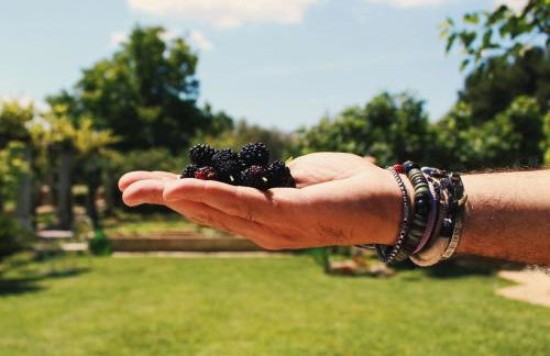 Villa CICIA - Foto 22