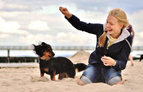 Strandnahe Ferienwohnungen mit Garten - Foto 6