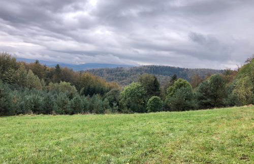 Apartamenty Black Lion - Foto 48