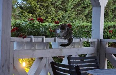 Zaciszne SPA - Foto 52