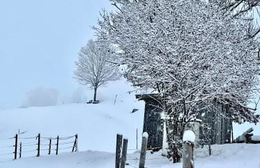 Fewo Längerer - Foto 20