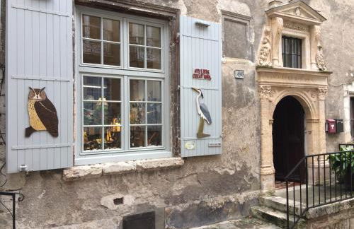 Châtel Rose - Historical Centre with Garden - Foto 28