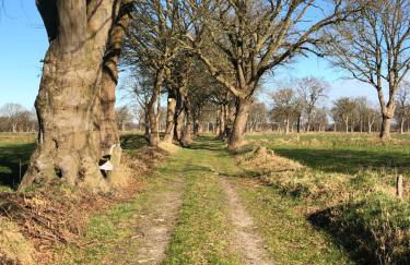 Gut Strackholt FeWo Seemannsgarn - Foto 24