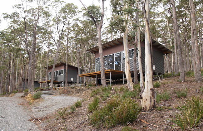 Craggy Peaks Wilderness Cabins - Foto 65