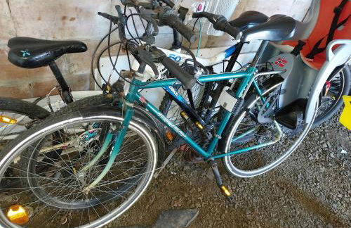 Les goélands - Foto 23