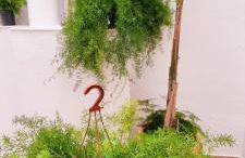 Viviendas con Fines Turísticos Pitico de Barro - Foto 15