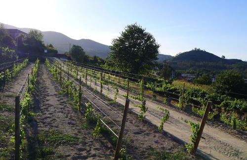 Casa de Ladreda - Foto 42