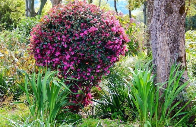 Riverbend Byron Hinterland Retreat - Foto 14