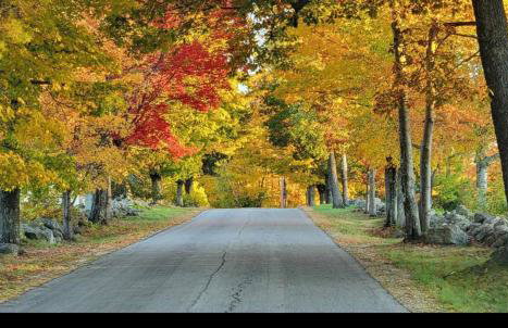 Big Meadow Farm at New London and Pleasant Lake - Foto 15