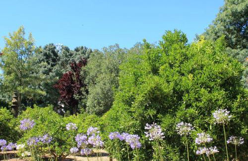 Quinta do Casal de Santo António - Foto 29