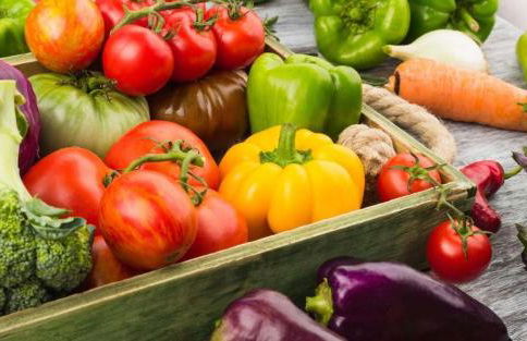 la petite maison - Foto 40