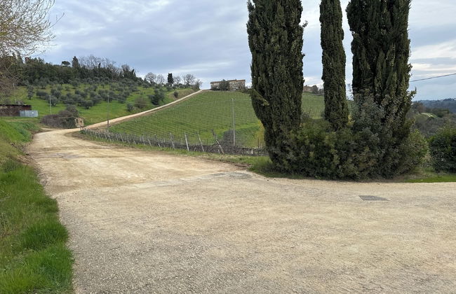 B&B La Fonte del Machiavelli - Foto 39