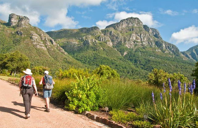 Skeleton Gorge Hiking Tour from Cape Town - Photo 3