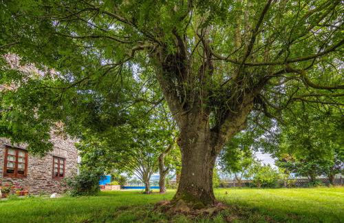 Apartamentos Rurales el Ferreirón - Foto 8