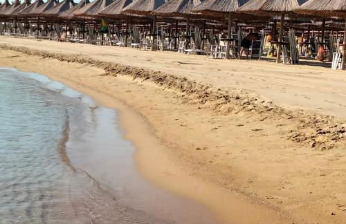 Flora house - Foto 51