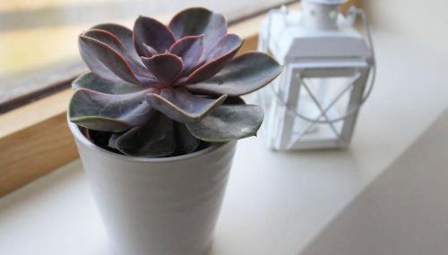 The Hide at Lemons Farm - Foto 2