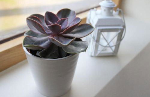 The Hide at Lemons Farm - Foto 2