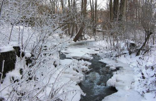 Ferienwohnung Klüpfelsmühle - Foto 19