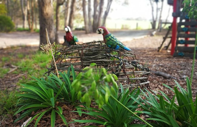 Kalimna Woods Cottages - Foto 70