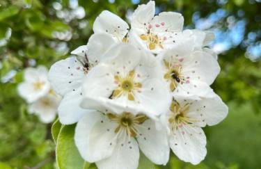 Le Chalet de La Liez - Foto 9