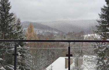 Korona Bieszczad Premium Apartments - Foto 138