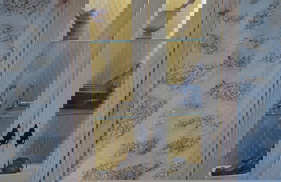 Casas da Villa - Oliveira e Videira - Foto 10