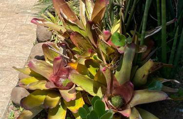 Sobrado Charmoso Beach House com piscina - Foto 31