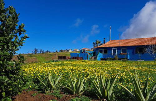 This Old House - Foto 3