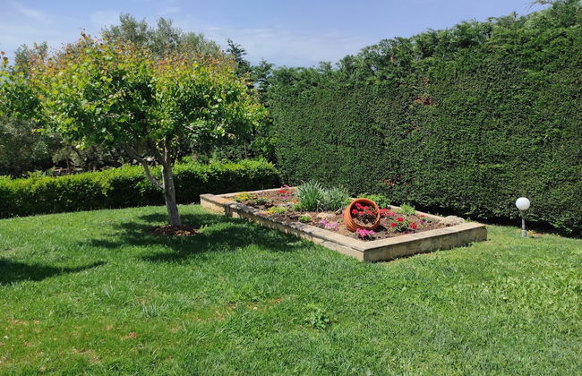 Villa Traditional Estate Heated Pool - Foto 24