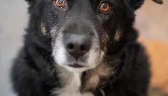 Le Clos de Narco - Foto 2