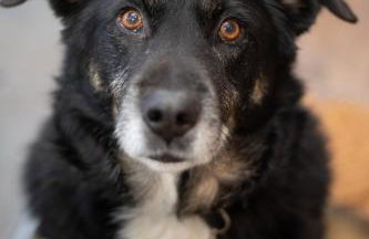 Le Clos de Narco - Photo 2