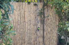 logement de charme en bord de plage - Foto 26
