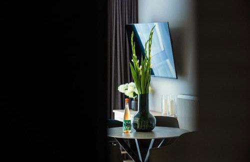 Apartamenty I SORAU Old Town - Foto 7