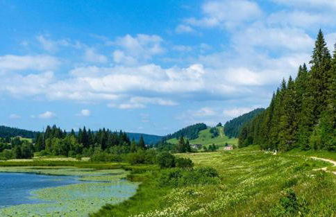 Dharma Farm Retreat - Foto 48