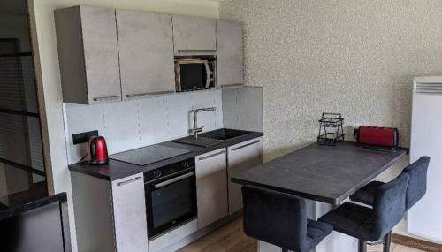 Location appartement montagne - Foto 2, stove, dishwasher, toaster