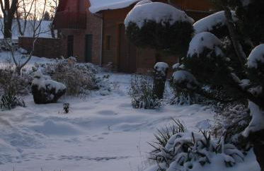 KASTANIENHOF im Spreewald - Foto 7