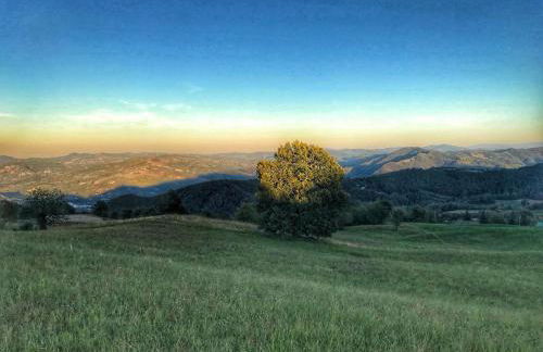 LA TANA DEL PICCHIO - Photo 38