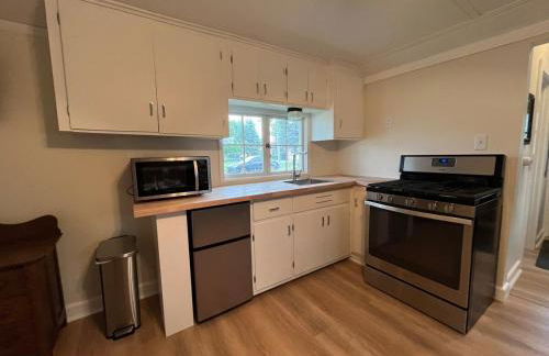 The little blue jay - Foto 8