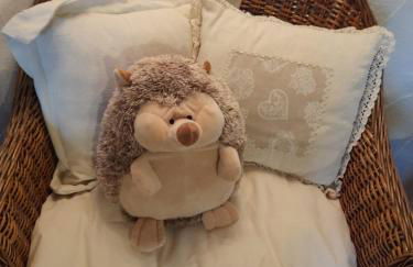 La Tana del Riccio - Foto 19