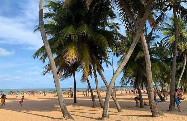 Apartamento Litoral Refugio - Foto 40