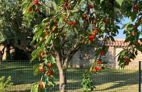 Le verger de Génas - Foto 30