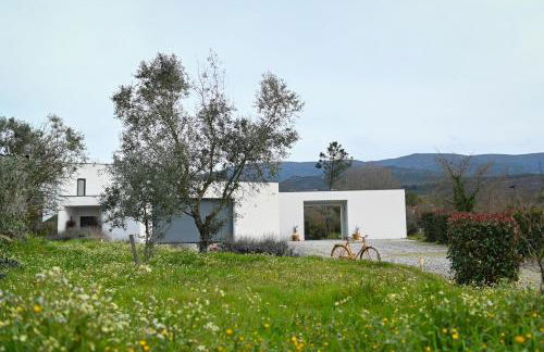 Fabulous 5 BR hidden gem Serra da Estrela - Foto 54