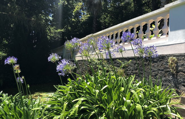 Quintinha de Palmyra - Foto 19