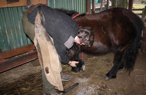 Ardgarry Farm - Photo 37