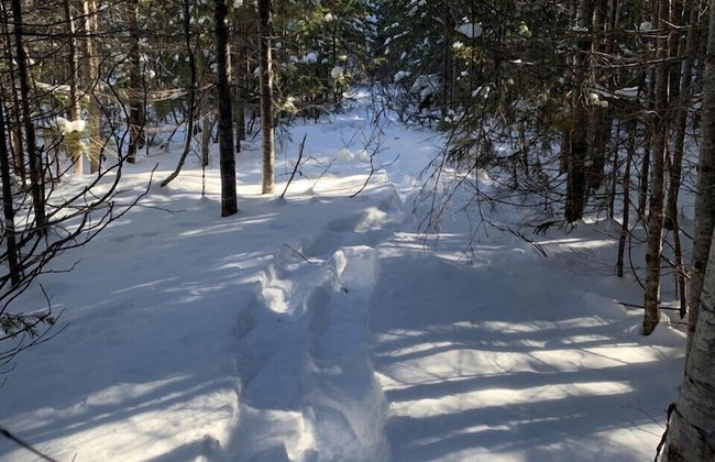 Yourte expérience Charlevoix - Foto 63